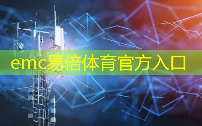 emc易倍体育官方入口：5g无互联网链接怎么回事